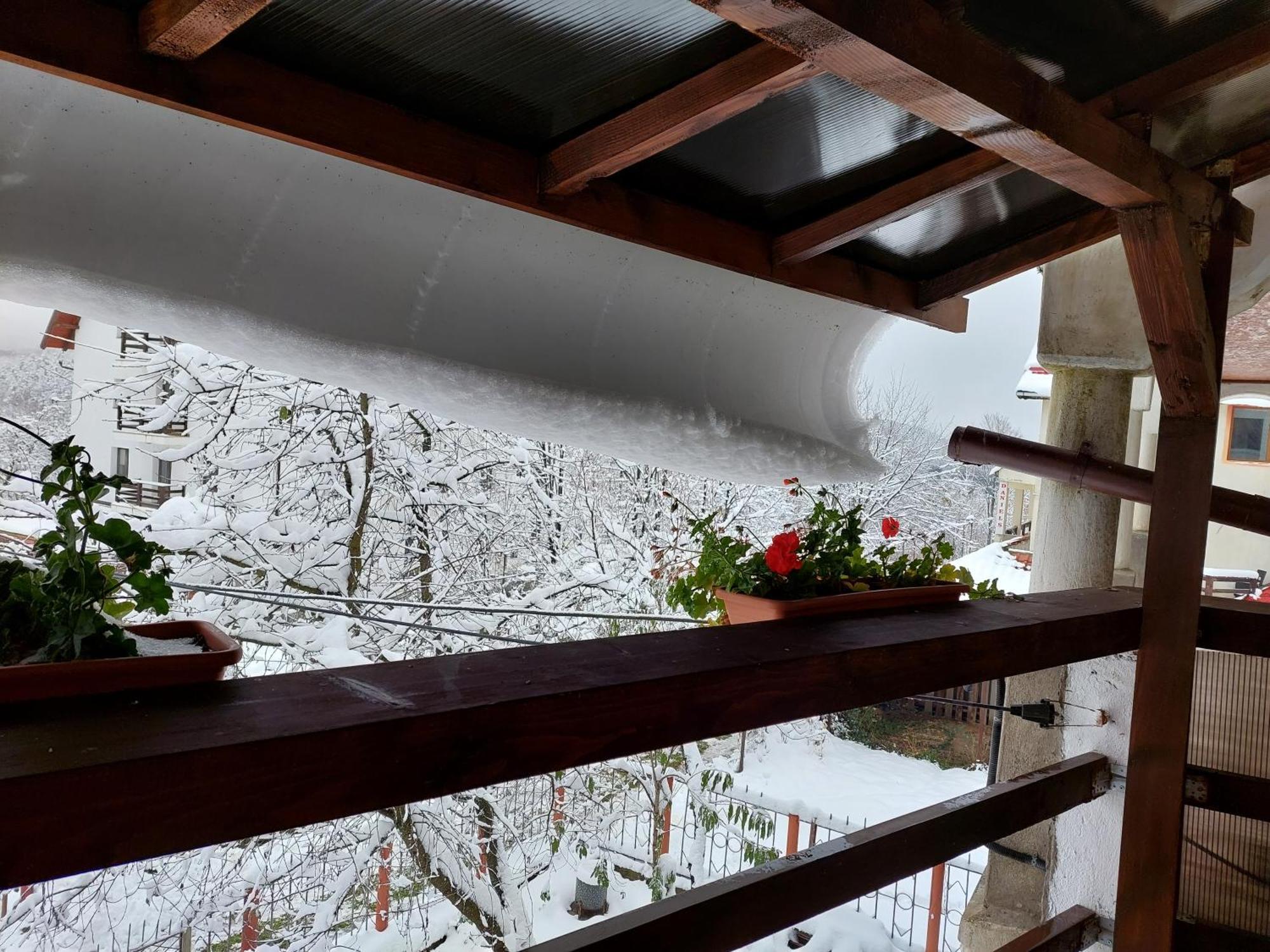 Holiday House Ferencfalva Kültér fotó